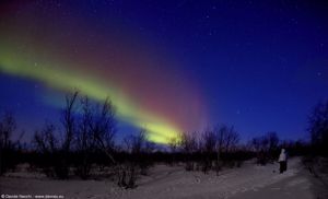 La mia prima Aurora Boreale ad Abisko, Svezia