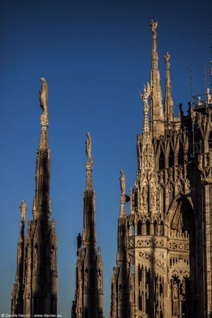 Dettagli guglie del Duomo
