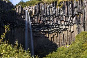 Svartifoss